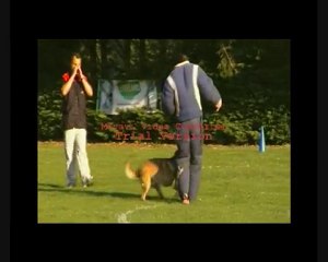 DINOZZO DU DRAGON ROUGE DE JUPITER