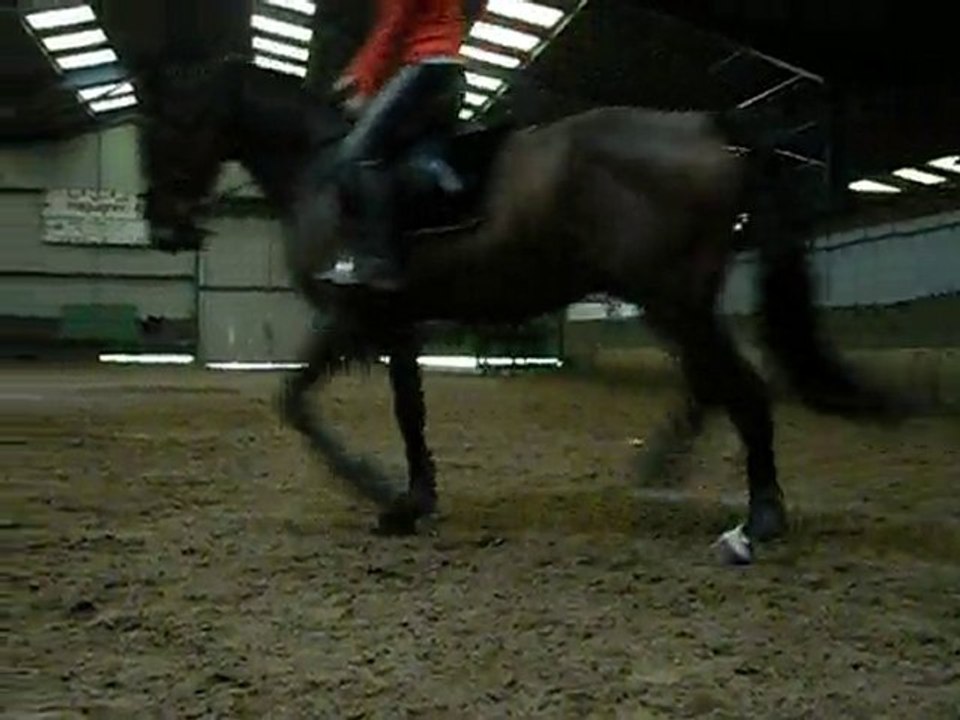 SAM_0895