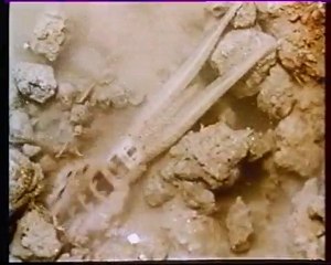 Les inventions de la vie 8 : L'aventure des ailes 1