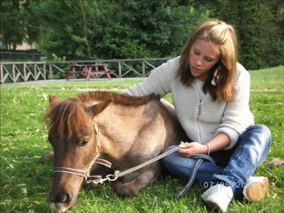 saphir