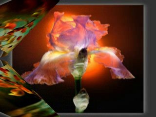 Sevgiliye Arz-ı Hal