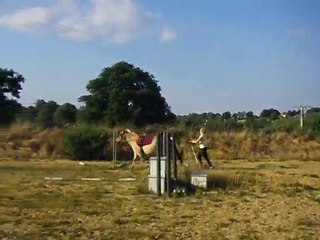 ma didine en longues renes