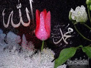 ESAT AYDOĞAN-GÜLÜM