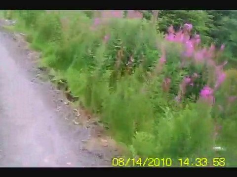 Carron Valley MTB Trails Cube Acid 2010