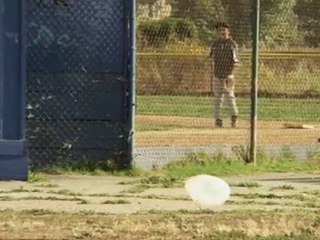 The Majestic Plastic Bag