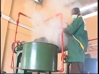 La culture de Jatropha au Burkina Faso