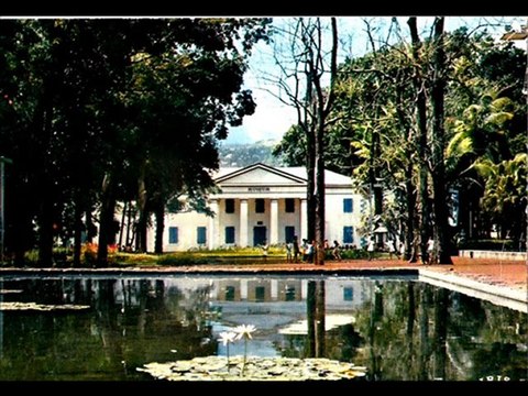 SEGA DE L ILE MAURICE