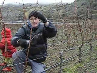 GeorgeTown Vineyard Pruning 2010