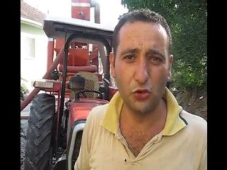 fındık harmanı zamanı