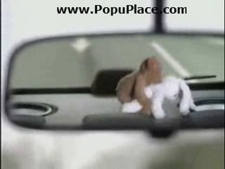 Stuffed Animals + Speakers = Sexual Innuendo