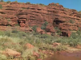 4WD raod to Palm valley (West McDonnell Ranges / Australia)