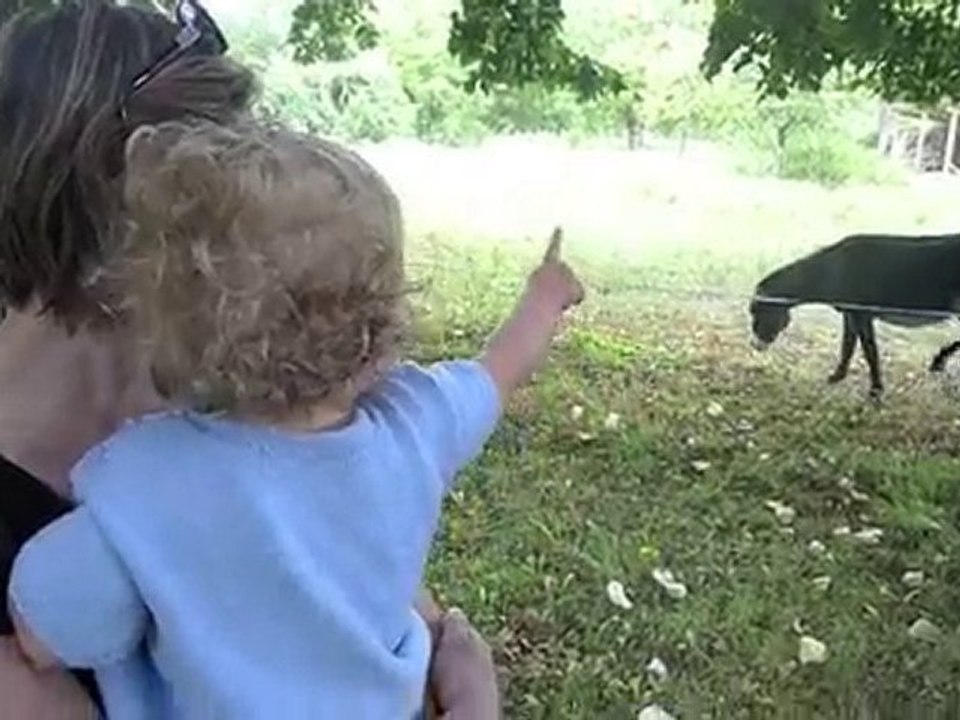 15aout10_soiree_etape