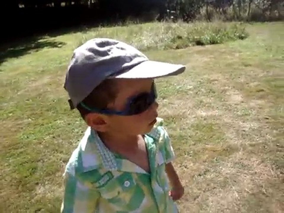 vacavideo-3
