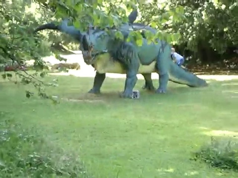 videovaca-5