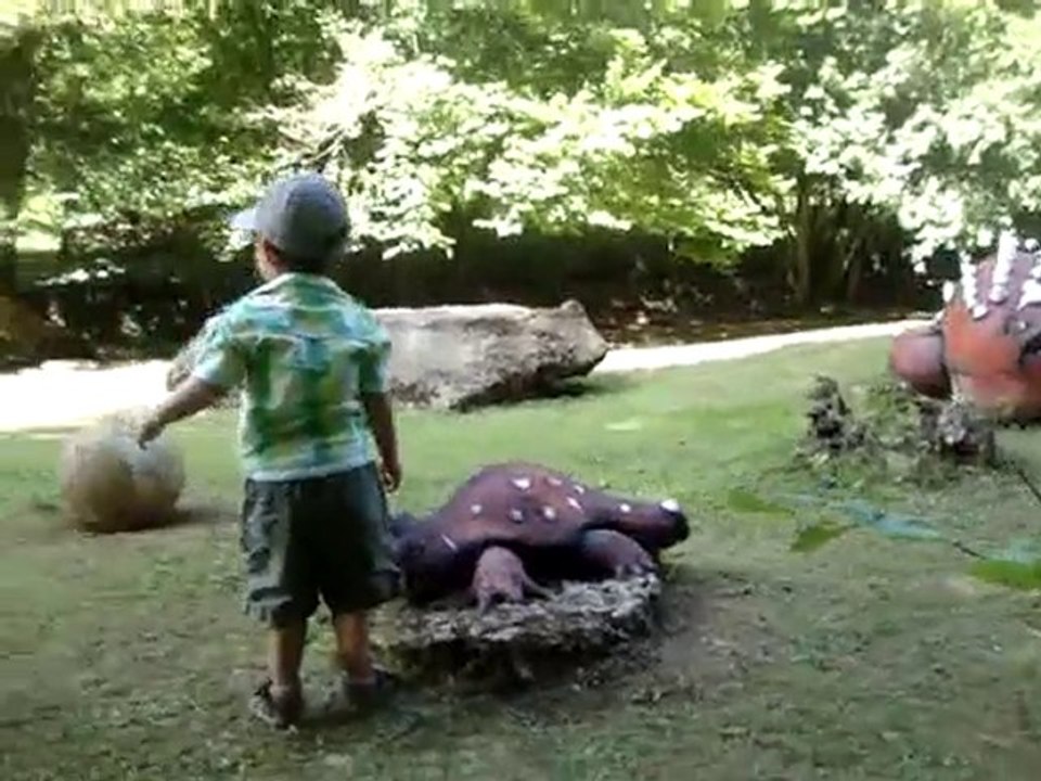 videovaca-6