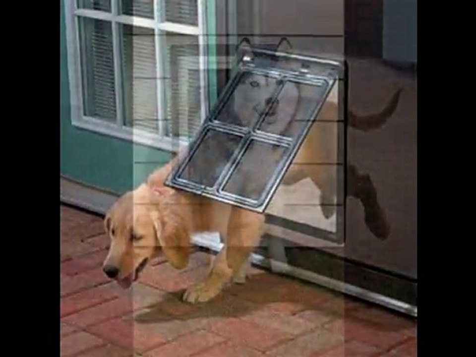 electronic pet doors:best collection of electronic pet doors