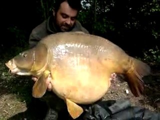 carpe miroir 21 kg Etangs Saint Jules.