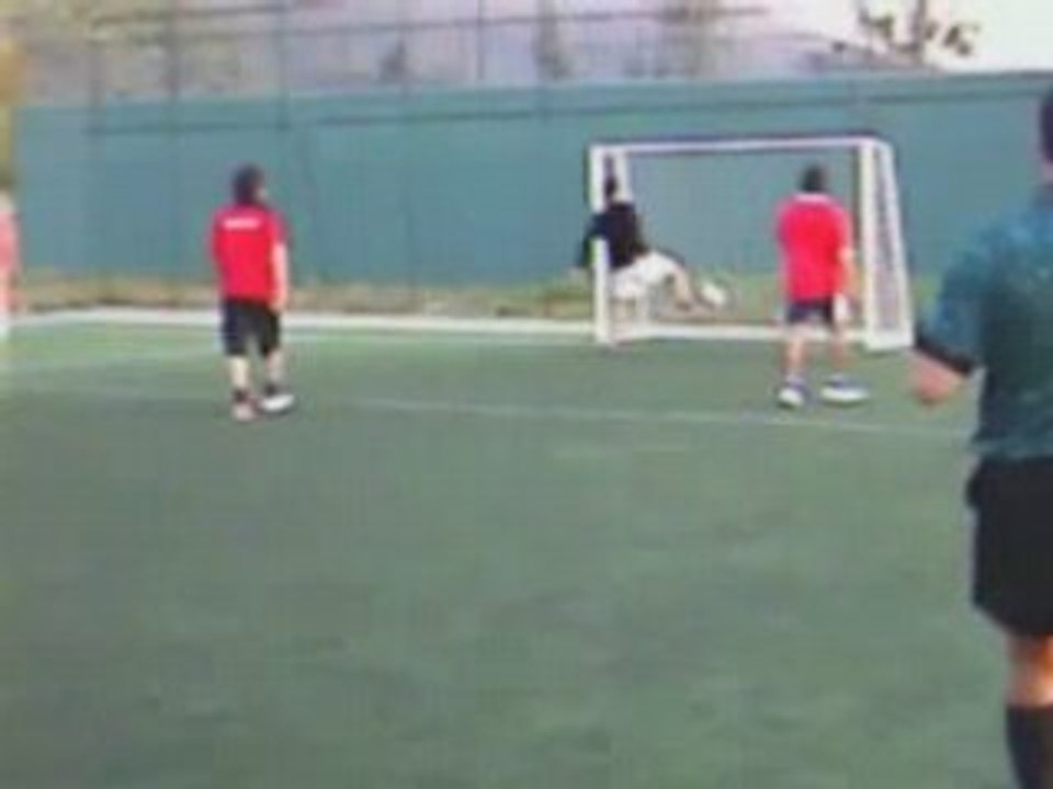 D:\flashvideos\mandrarododef