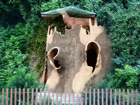 artvin merkez resimleri 2010 slayt - artvinliyiz.net