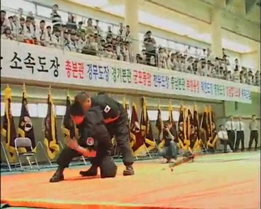 Hapkido compétiton technique