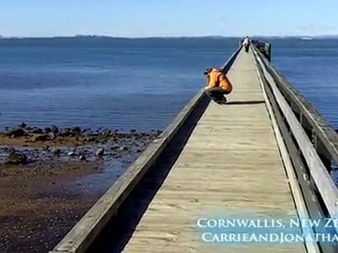 Cornwallis, New Zealand: History of Cornwallis