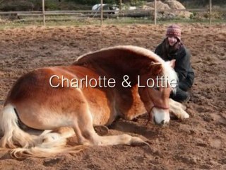 Equi-x-magasine , cabré et bonus ( coucher distance )