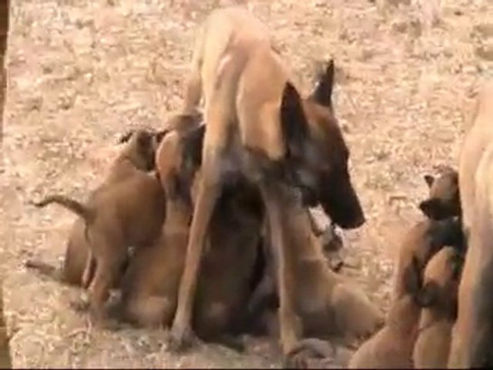 la grande famille