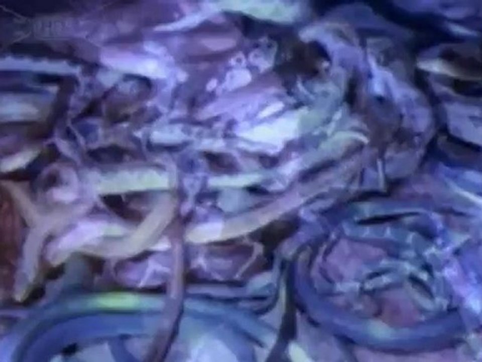 Metallica - The Ecstasy of Gold (Live. San Diego 1992)