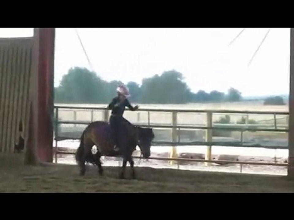 HORTENSE PONEY GALOP TROP