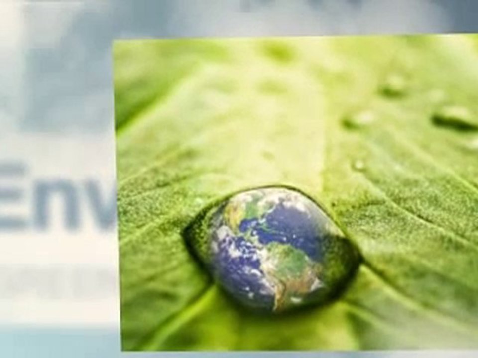 Become Carbon Neutral in Sydney
