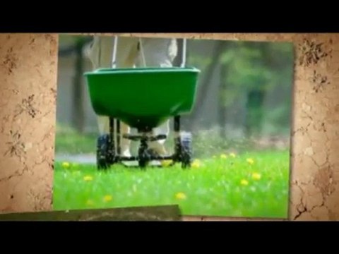 DarkGreen-Lawn.info| Soil compaction | watering your la