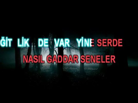 erkin koray - öyle bir gecer zaman ki (şarkı sözleriyle)