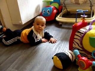 Wiwi tente le waka-waka, Freddy joue, Alex rampe*