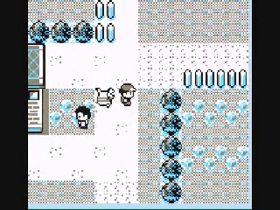 pkmn jaune WT 6 L'entrainement sur la route