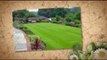 www.Watering-Your-Lawn.info| Pet safe lawn care | greener g
