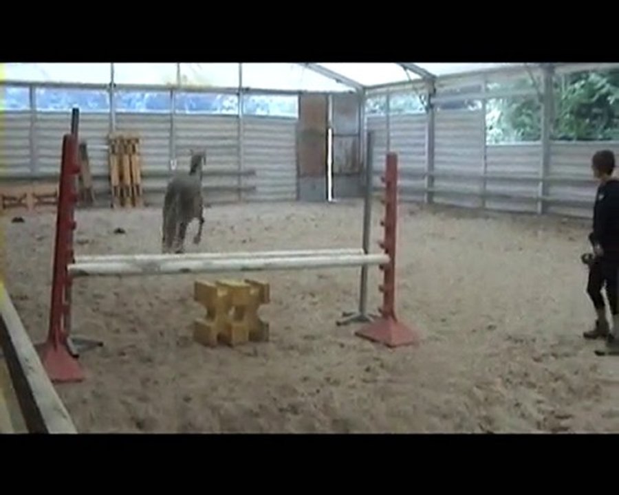 Saut en liberté aout 2010