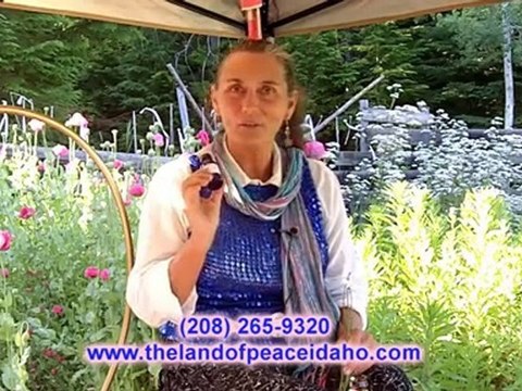 Organic Lavender Oil - Lavender Oil Organic