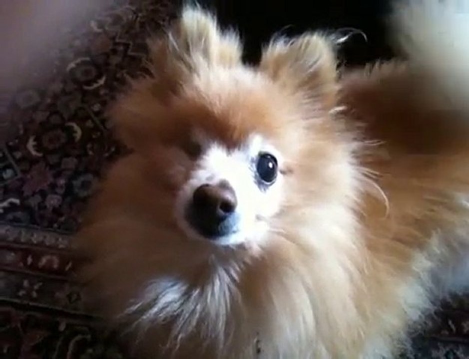 bisous Tante Rosalie !