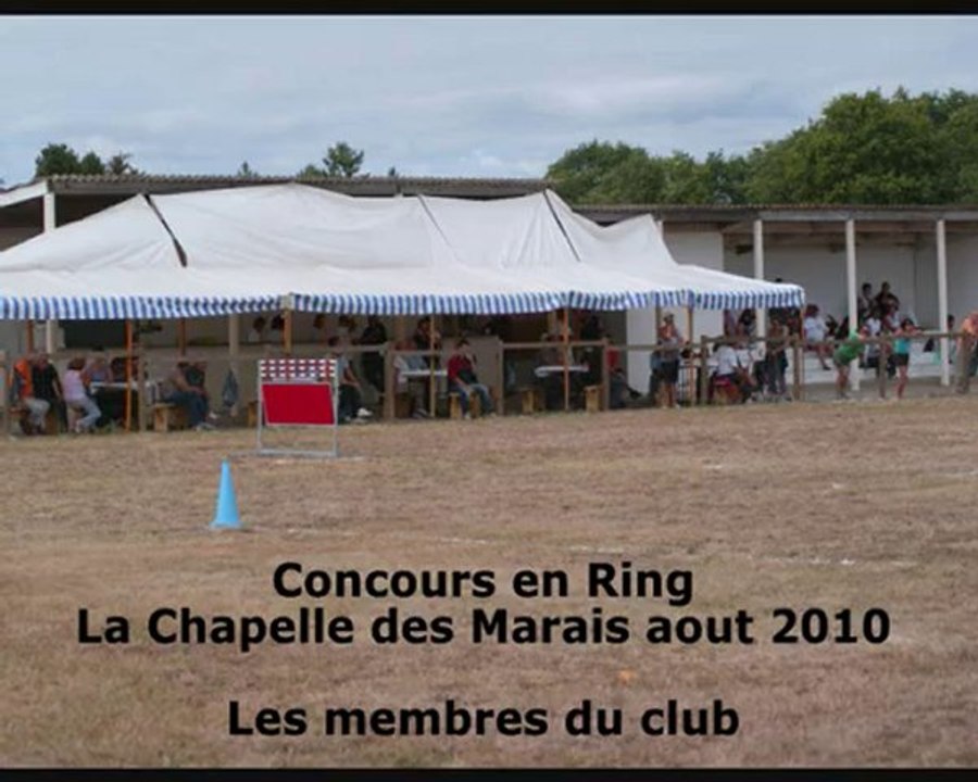 Ring concours CCTM 2010 les membres du club