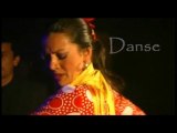 Mercedes Pantoja. Spectacle Noche Blanca : Flamenco