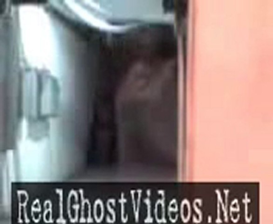 Columbian Fat Ghost