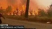Portugal: existen 16 incendios forestales