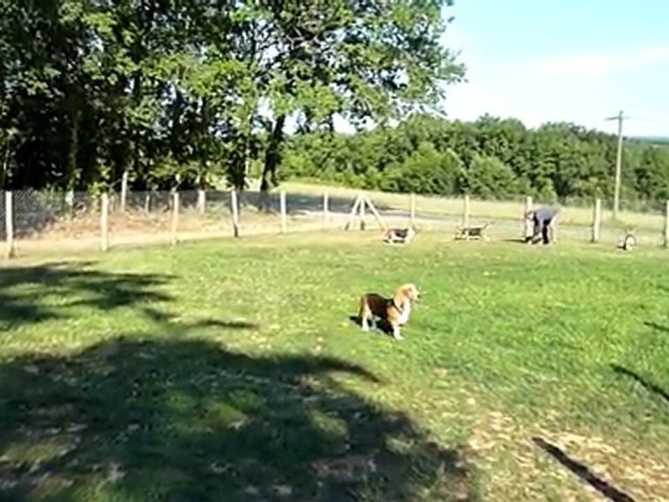 Vue des installations