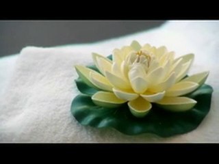 Doctors Southport The Lotus Institute - Cosmetic, ...