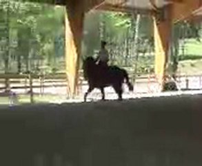 p taille Jongleur du Manoir 2010