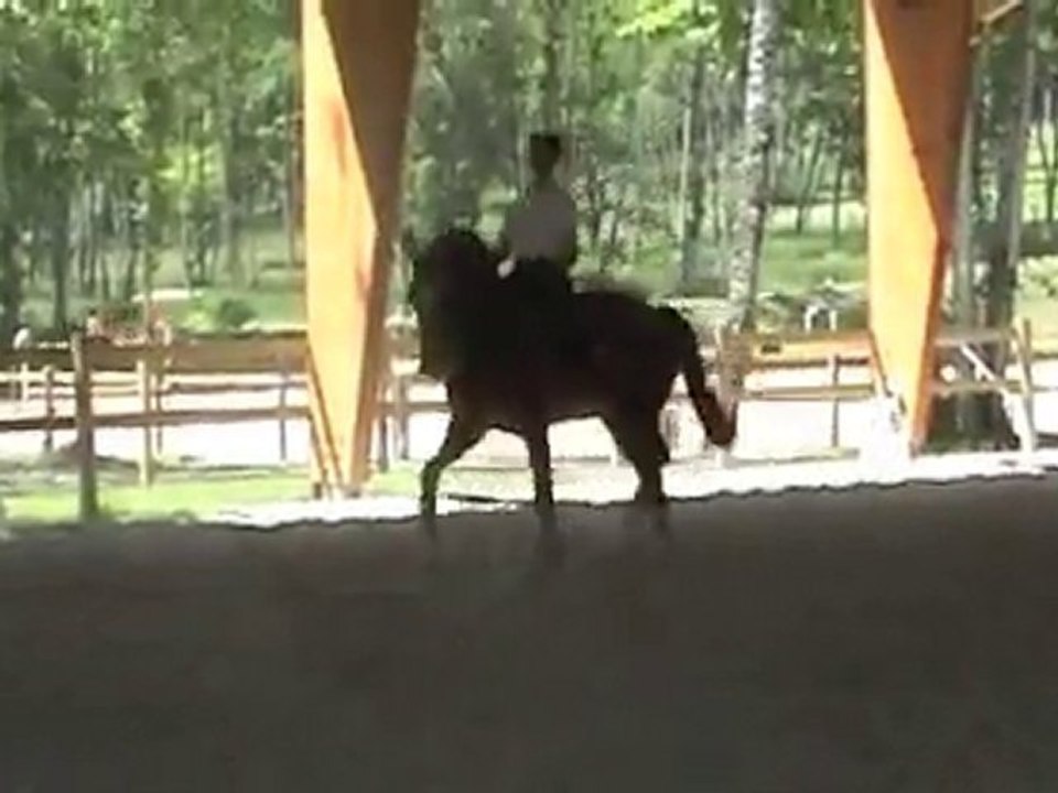 Jongleur du Manoir 2010