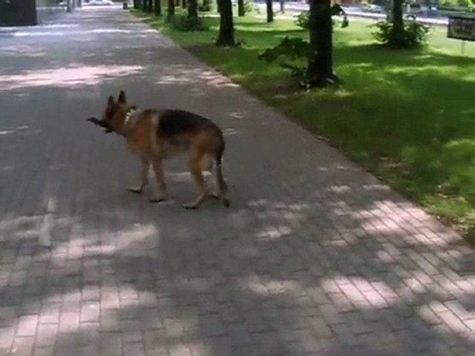 ANKA WRACA DO DOMU