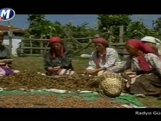 Nursaç Doğanışık & Oktay Ertuğrul £££ BAHÇALARDA BAL ERÜK