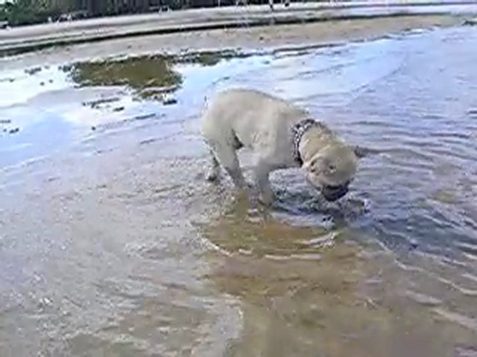 DSCN8729