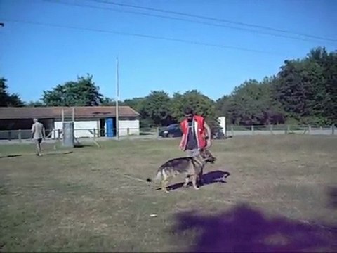 RING-MONDIORING - CAMPAGNE au BOUGUENAIS SPORT CANIN